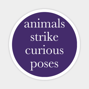 Animals strike curious poses Magnet